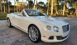 Palma Auto Florida - Virtual purchase 4